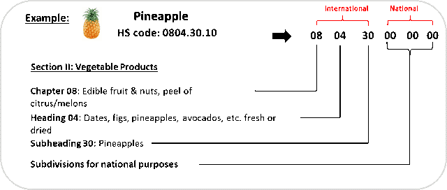 description hs code ananas